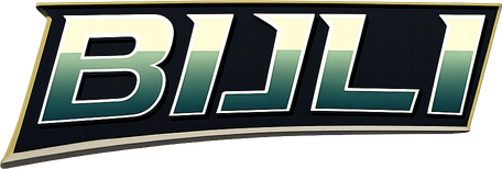 bijli logo